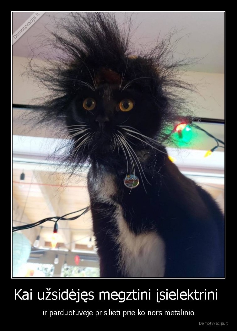 isielektrino,megztinis,parduotuve