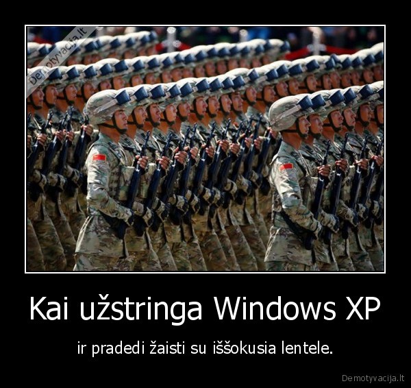 windows,xp,kariai