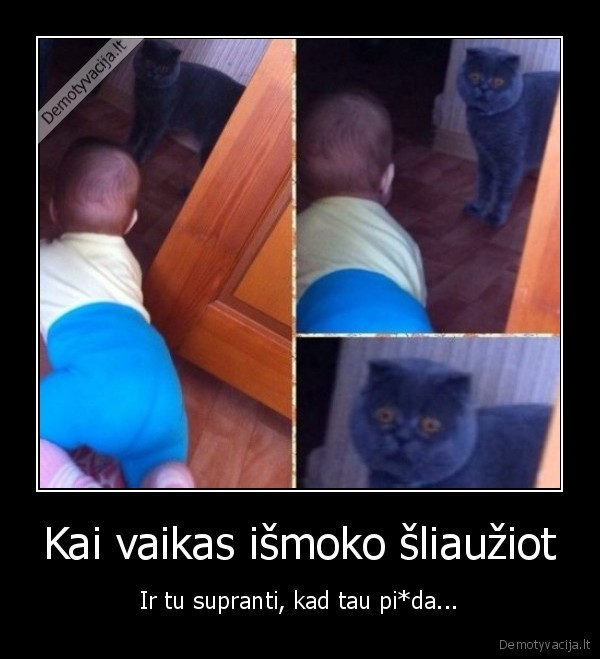 sunkus, gyvenimas,katinas