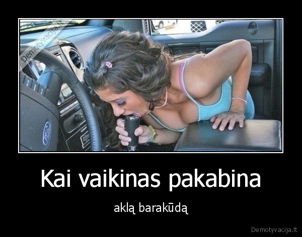 panele,barakuda,akla