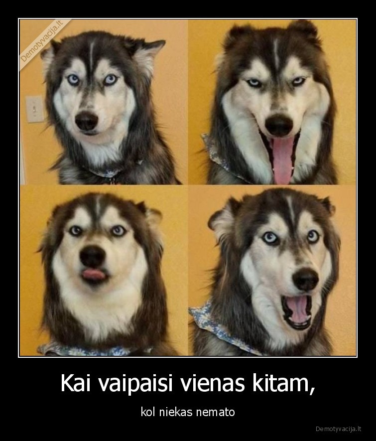 kai, vaipaisi,maivosi,vaiposi,niekas, nemato,draugai