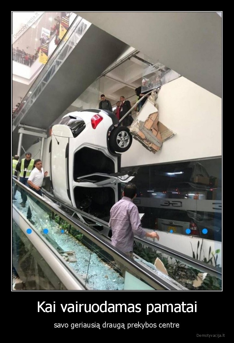 geriausias,draugas,vairuoja