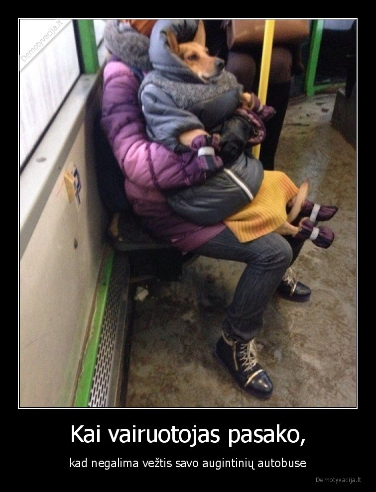 autobusas,suo,augintinis