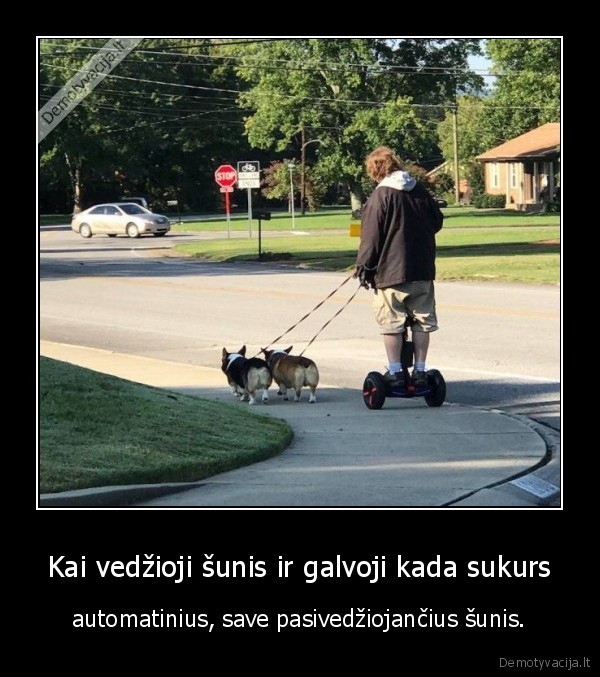 suo,sunys,vedziojimas