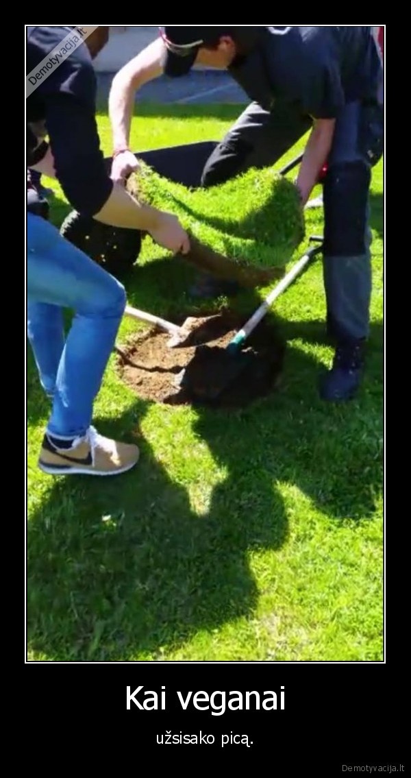 veganai,zole,pica,zeme