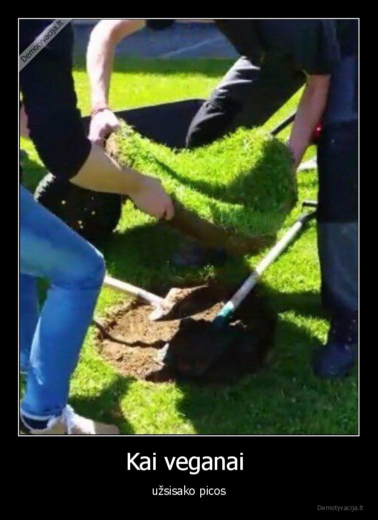 pica,veganams,maistas,zolynas,zole