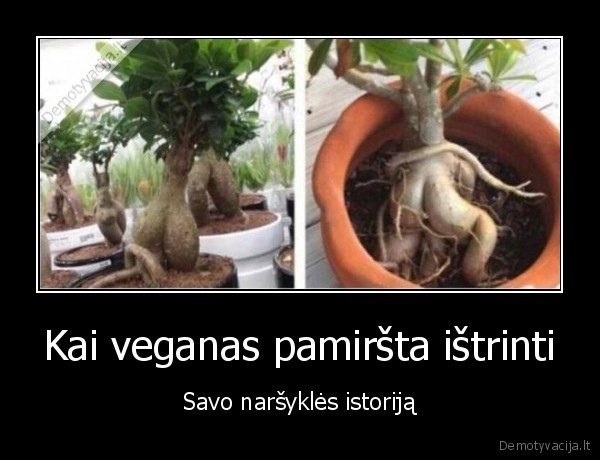 veganas,veganai