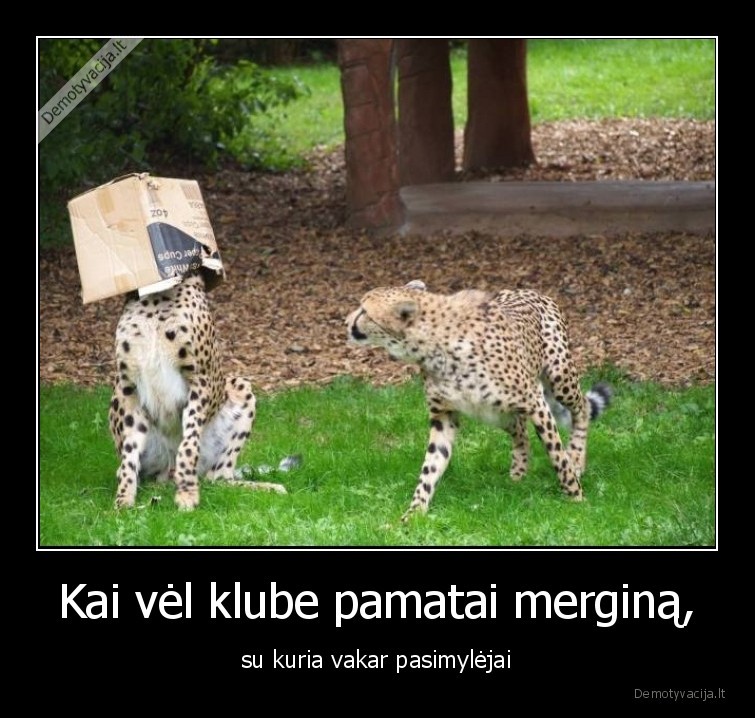 klubas,mergina,pasislepti