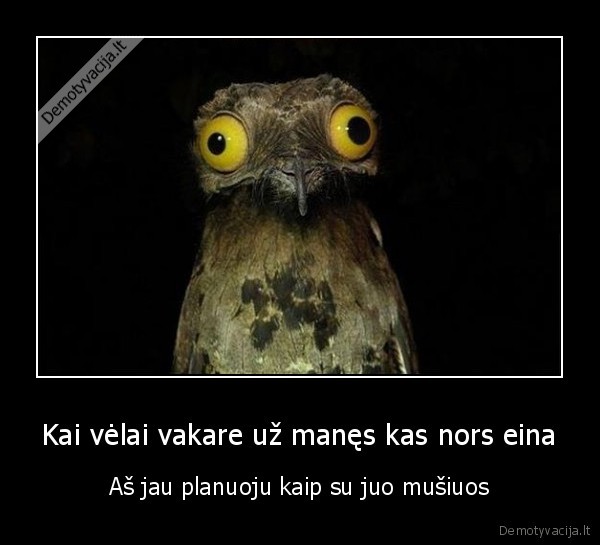 peleda,mustynes,razborkes