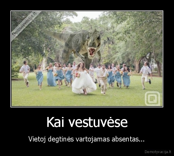 absentas,vestuves,svaigalai,alkoholis,degtine