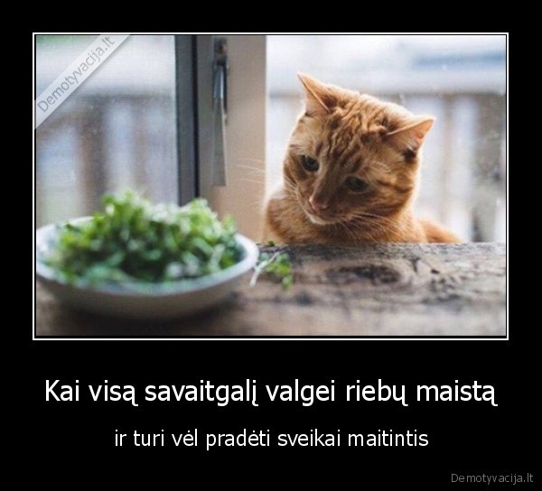 maistas,meslas,riebus,sveikas, maitinimasis