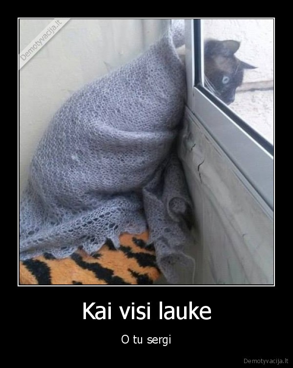 serga,lauke, salta,liga