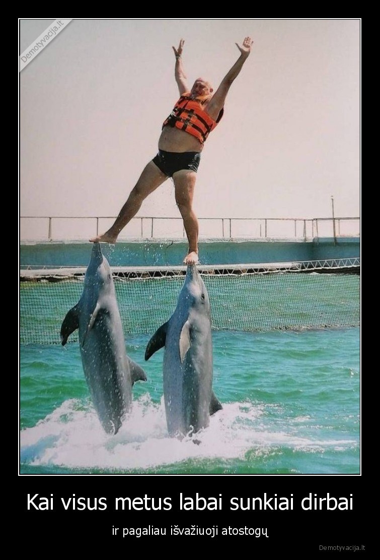 atostogos,darbas,delfinai,laime