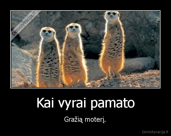 moteris,vyrai,ziureti