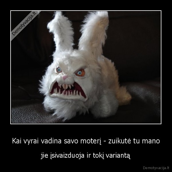 zuikute,variantas,vyrai