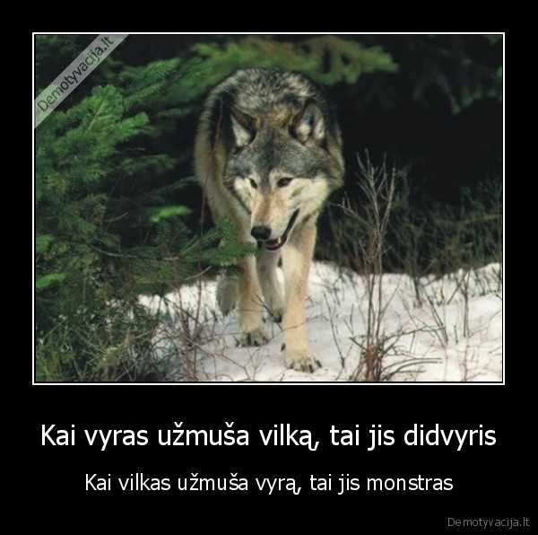 vilkai,neligybe,medziokle