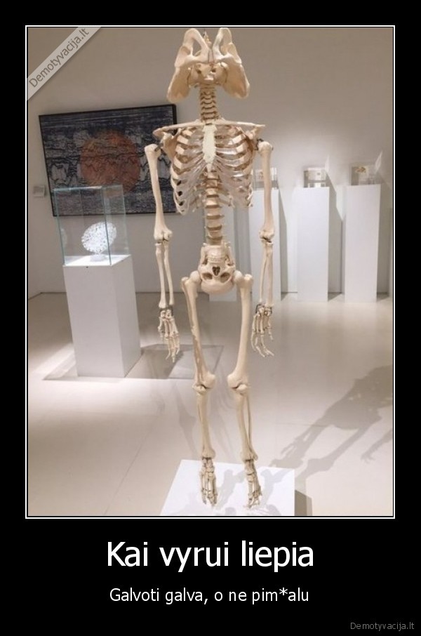 galva,skeletas,galvute