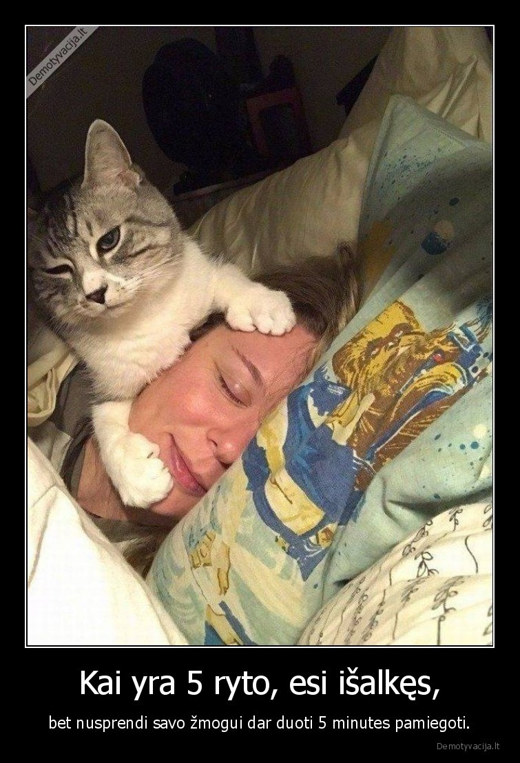 kate,katinas,alkis,zmogus