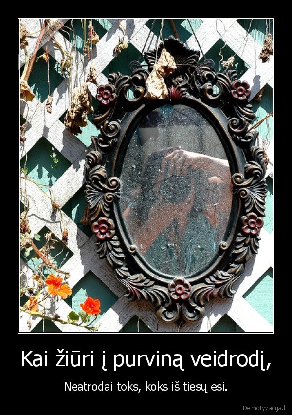 Kai žiūri į purviną veidrodį,