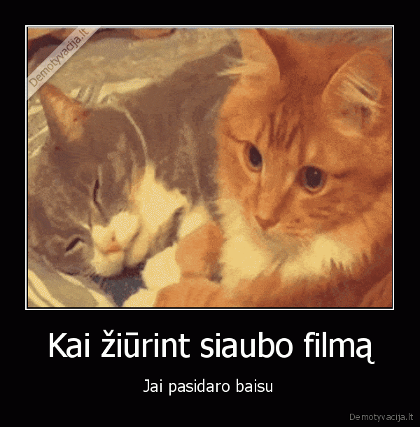 siaubo, filmas,paguoda,kates