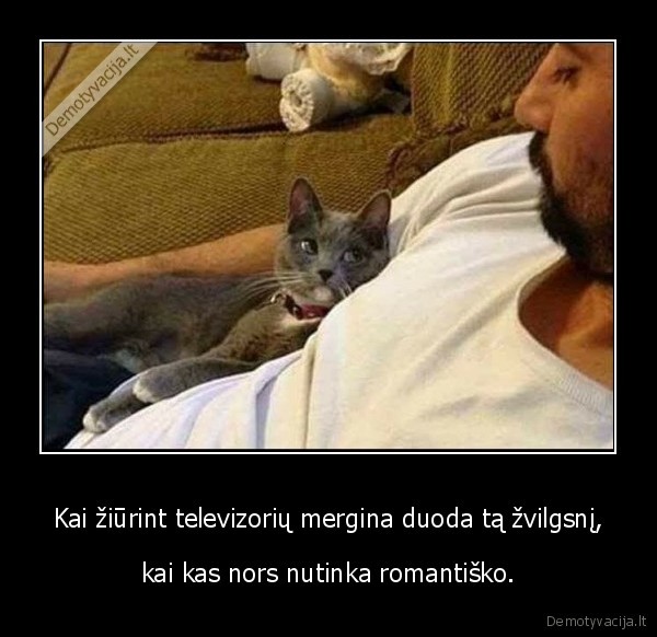 mergina,zvilgsnis,romantika,kate,katinas