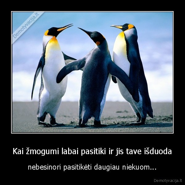 Kai žmogumi labai pasitiki ir jis tave išduoda