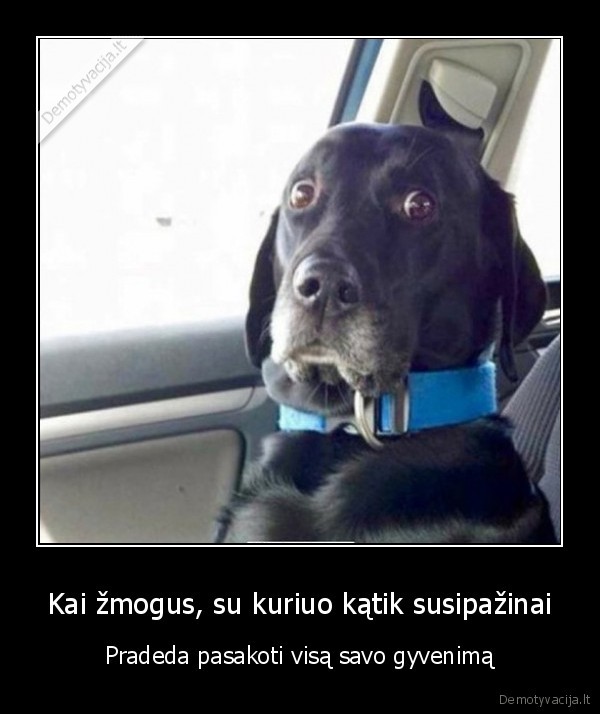 pazintis,naujos, pazintys