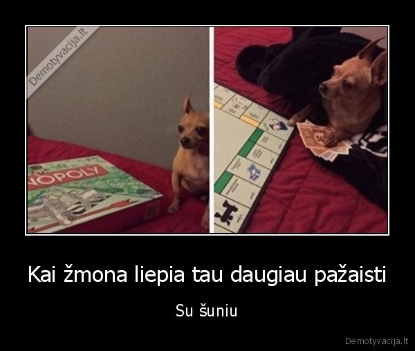 suo, zaidzia,monopolis
