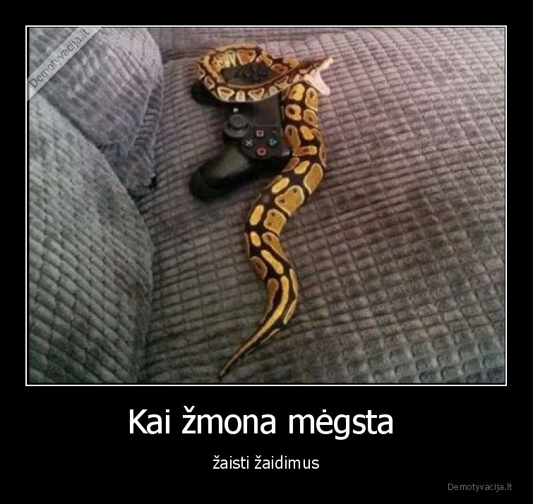 zmona,gyvate,pultelis