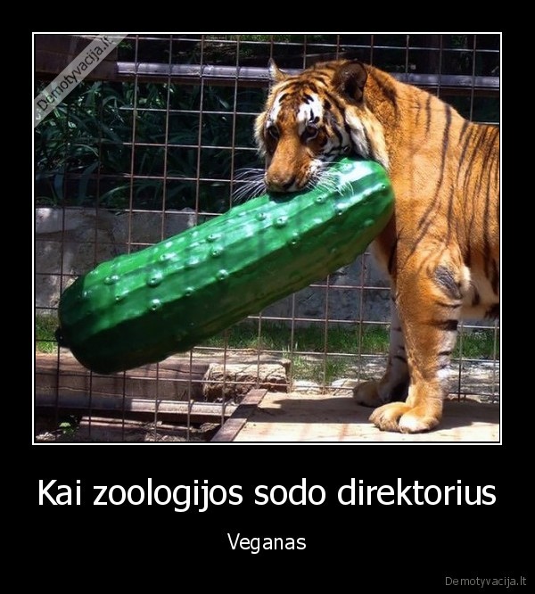 vegetarai,veganai,agurkas,liutas