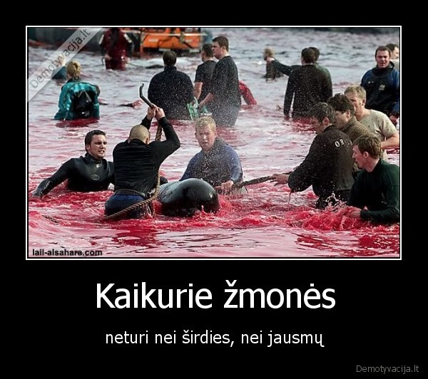 delfinai,danija,farerai