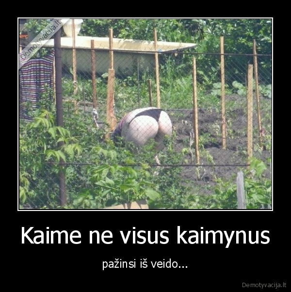 kaimas,veidas,kaimynai