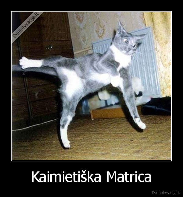 Kaimietiška Matrica