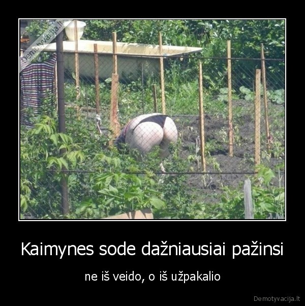 sodas,kaimynai,sodo, kaimynai,uzpakalis