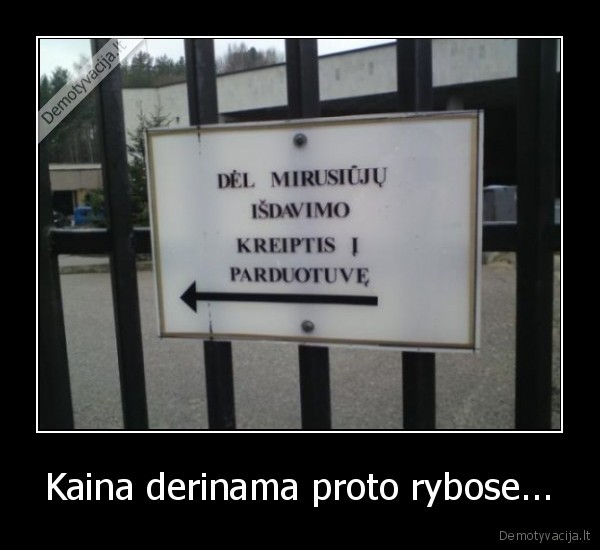 Kaina derinama proto rybose...