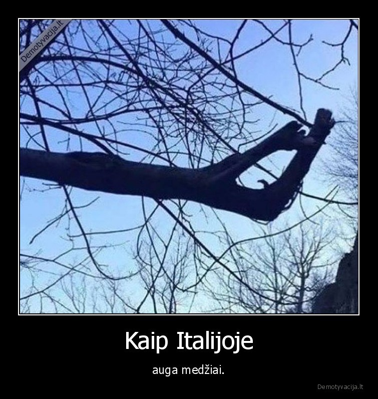 italija,medziai