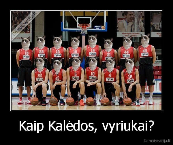 lietuvos, rytas, prienu, rudupis, prienai