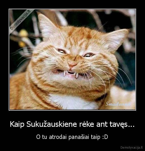 Kaip Sukužauskiene rėke ant tavęs...