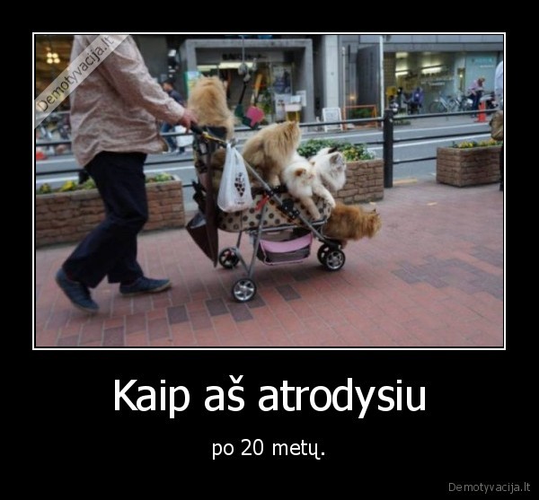 katinai,kates,kate,katinas