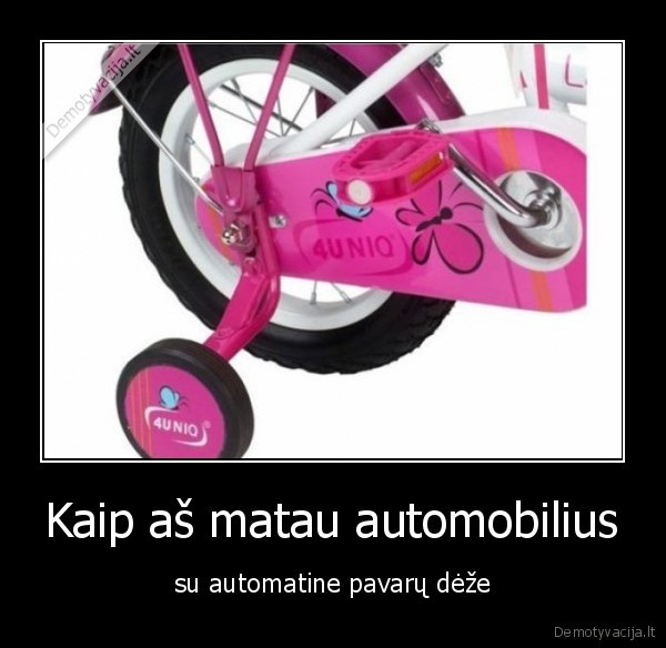 automobilis,pavaros,deze