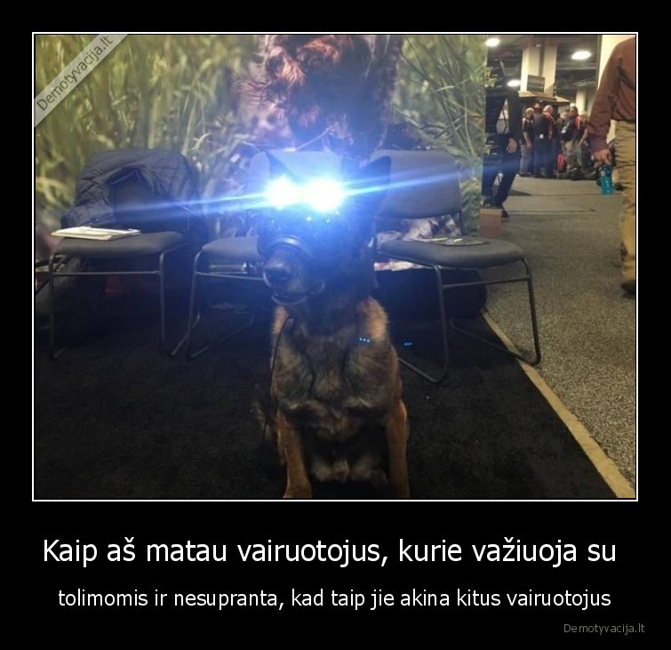 suo,tolimos,masina,vairavimas