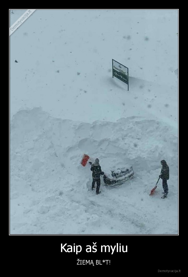 ziema,prisnigo,myliu