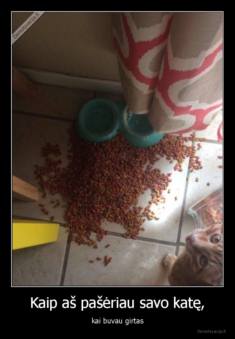 kate,paseriau,girtas,augintiniai,edalas