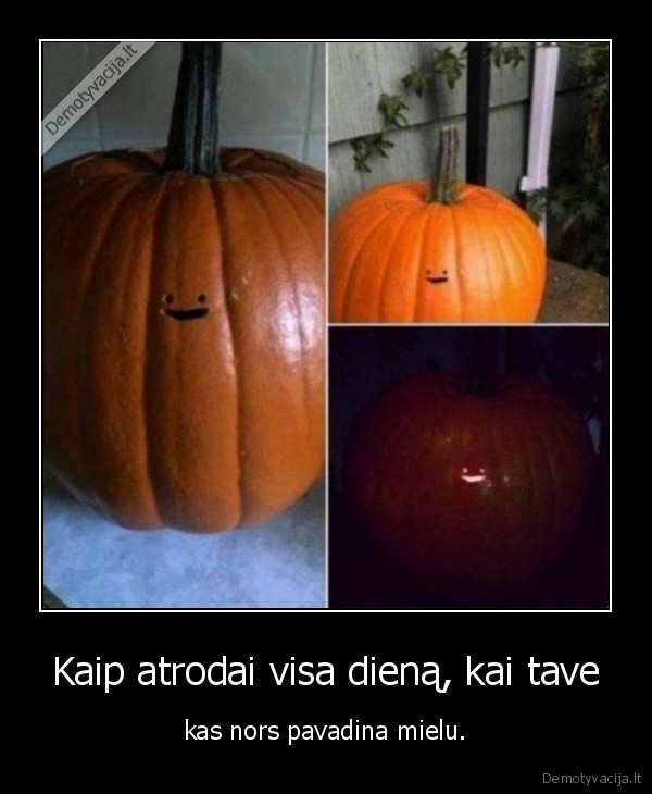 mielas,mielumas,moliugas