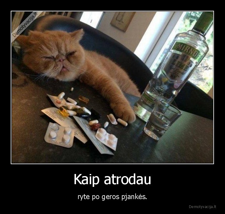 kate,katinas,pjanke,degtine