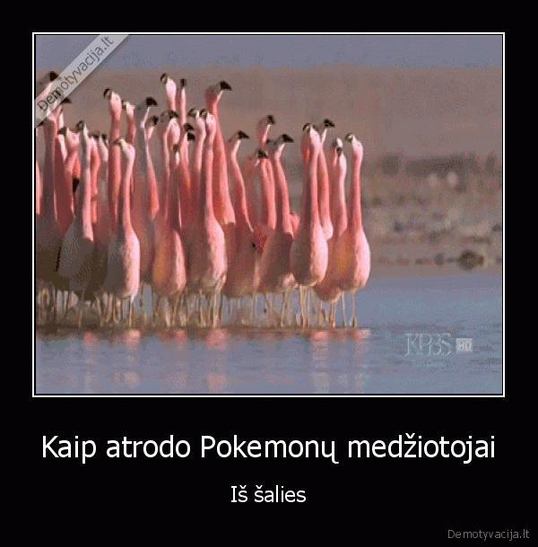 pokemon, go,pokemonai