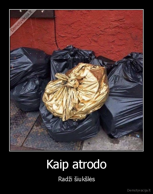 auksinis, siuksliu, maisas,radzis