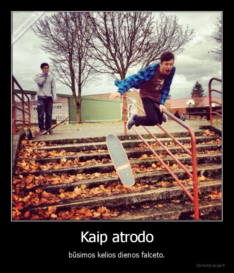 falcetas,kiausai,auc