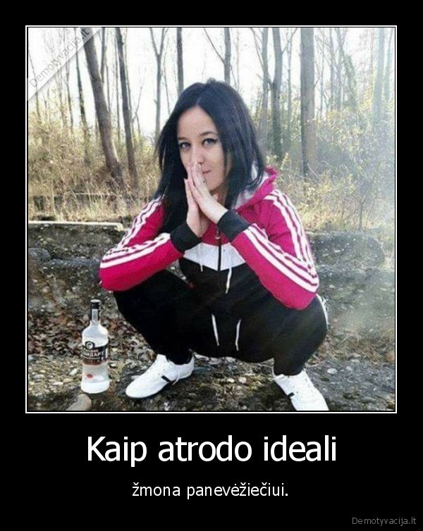 panevezys,maroze,degtine