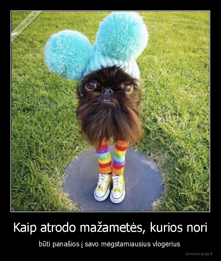 mazametes,suo,stilius,vlogeriai